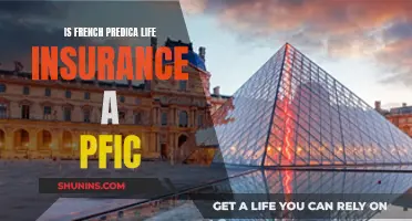 Life Insurance PFICs: French Predica's Status Explored