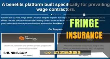 Understanding Fringe Insurance: Benefits, Risks, and When It’s Right for You