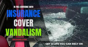 Vandalism and Full Coverage Auto Insurance: What You Need to Know