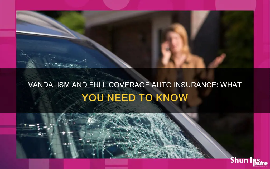 is full coverage auto insurance cover vandalism