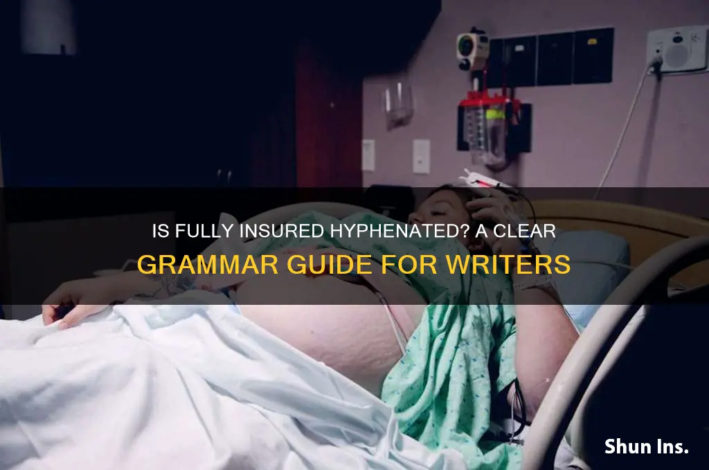 is fully insured hyphenated