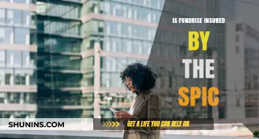 Is Fundrise Insured by the SPIC? Understanding Investor Protection