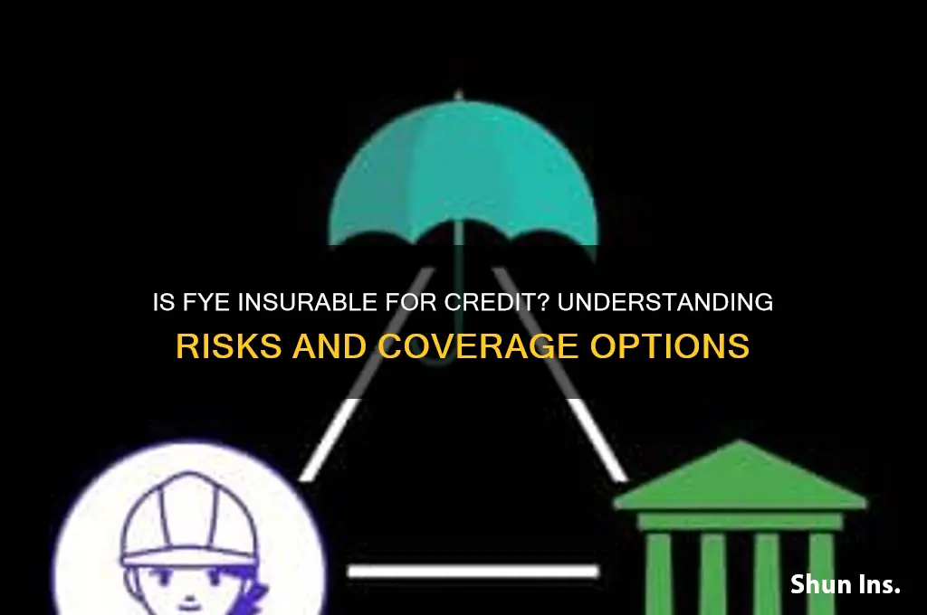 is fye insurable for credit
