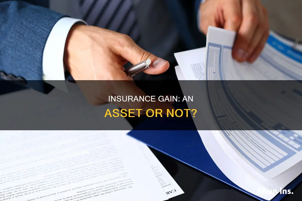 is gain on insurance an asset in accounting