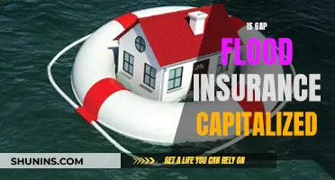 Is Your Gap Flood Insurance Capitalized?