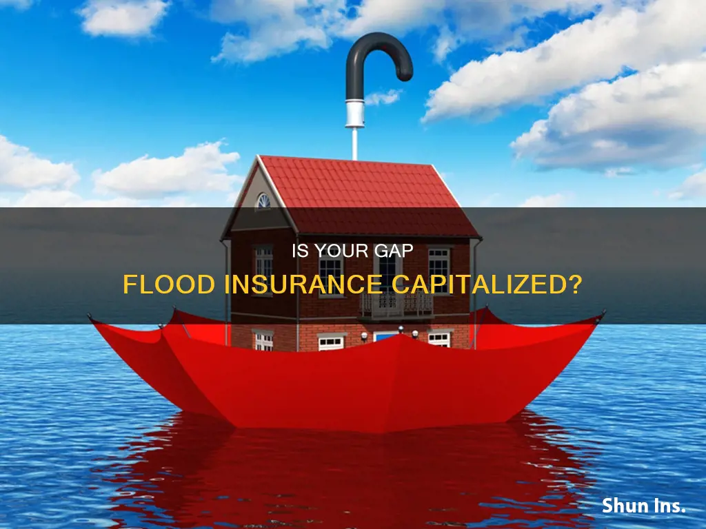 is gap flood insurance capitalized