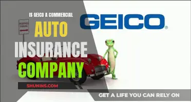 GEICO: Commercial Auto Insurance and More