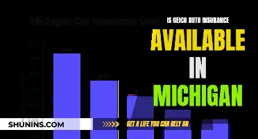 Geico Auto Insurance: Available in Michigan?