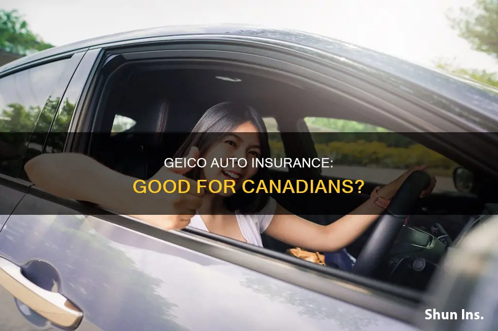 is geico auto insurance good in canada