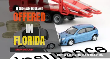 Geico Auto Insurance: Available in Florida?