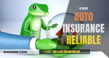 GEICO Auto Insurance: Is It Worth the Hype?