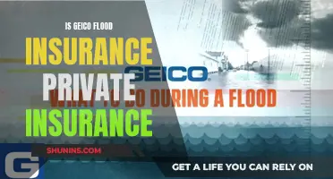 GEICO Flood Insurance: Private or Public?