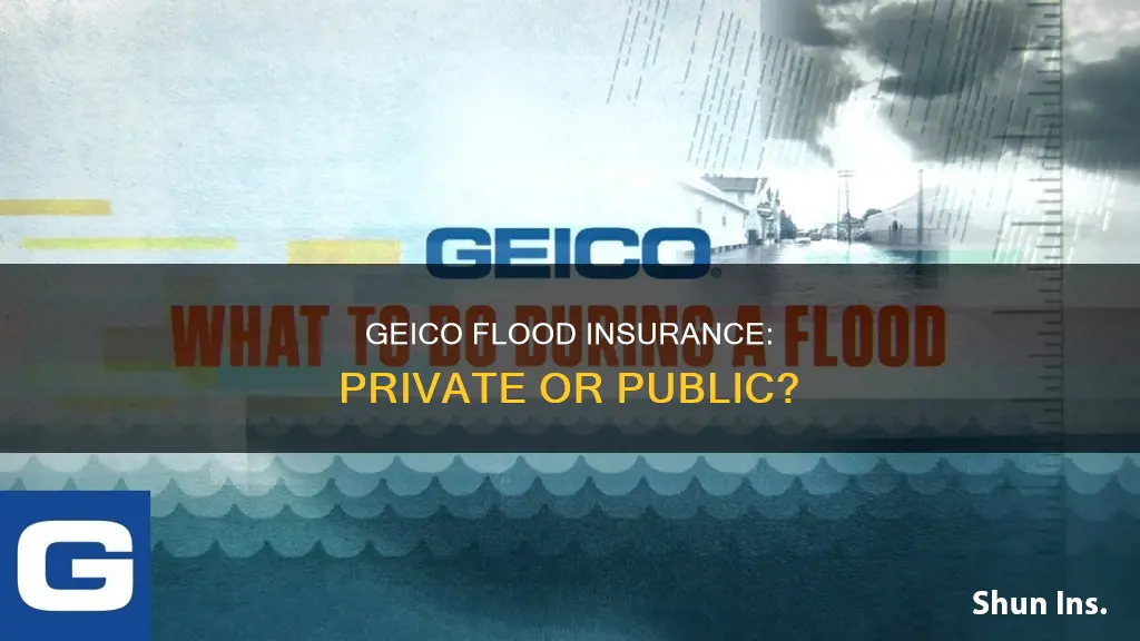 is geico flood insurance private insurance