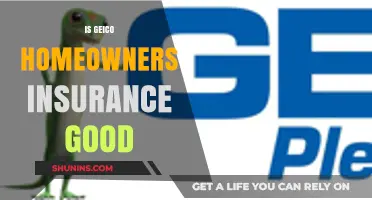 Geico Homeowners Insurance: Is it a Good Option?