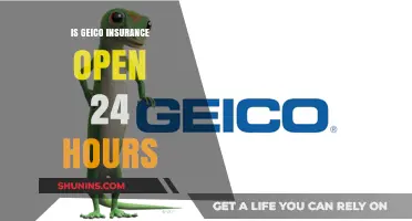 GEICO Insurance: 24-Hour Service Availability and Benefits