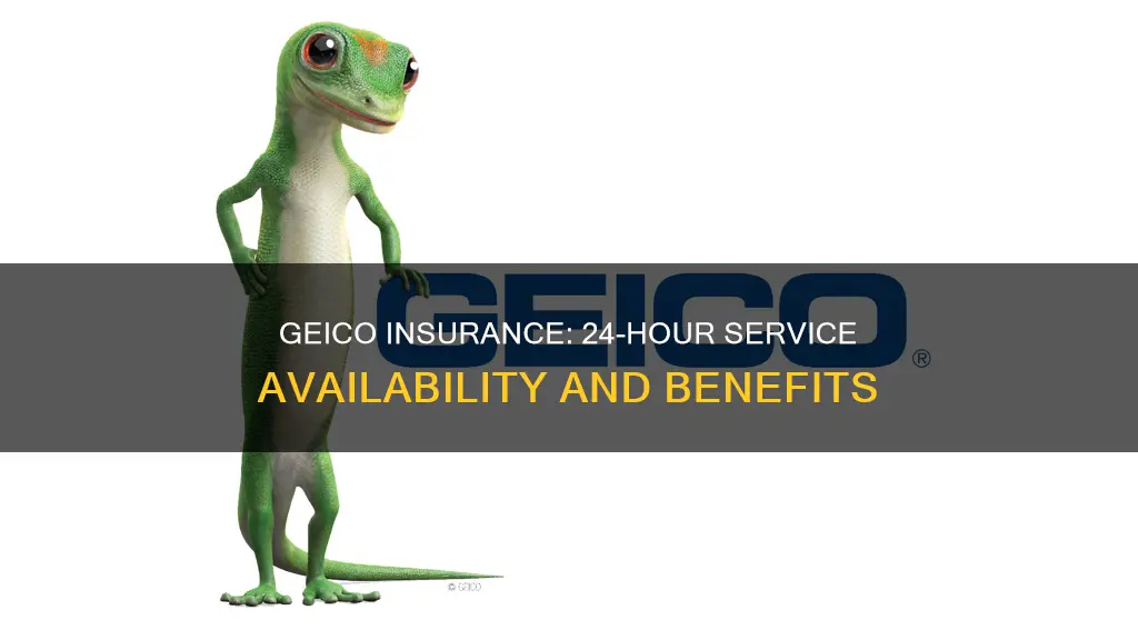 is geico insurance open 24 hours