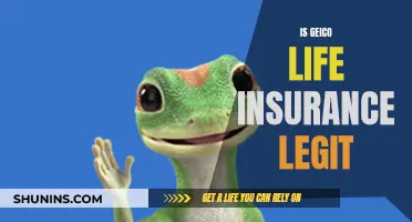 Geico Life Insurance: Legit or a Scam?