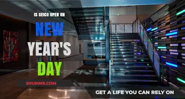 GEICO's New Year's Day Hours: Open or Closed?