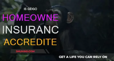 Geico Homeowners Insurance: Is it Accredited?
