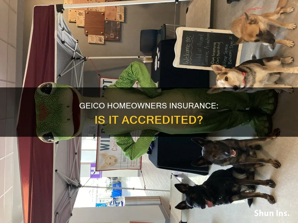 is geigo homeowners insurance accredited