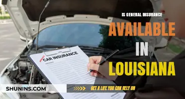 Exploring General Insurance Options in Louisiana: Availability and Coverage