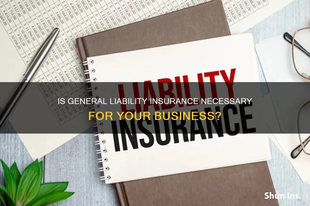 is general liabikity insurance necessary