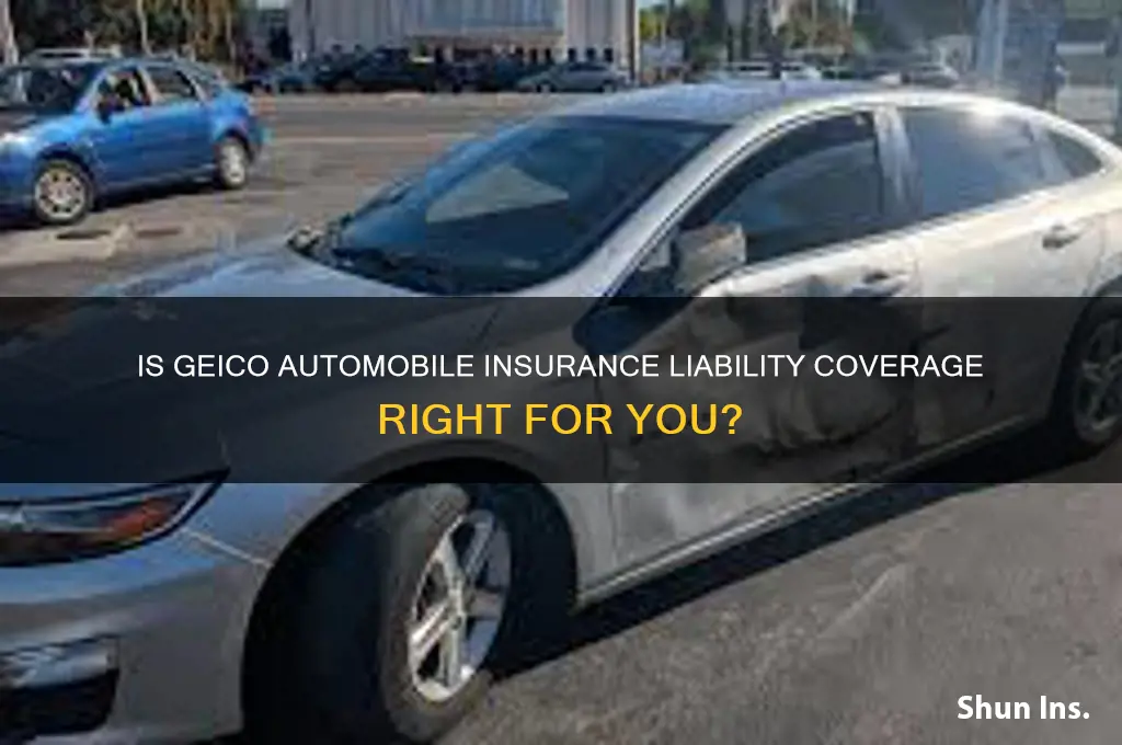 is geoico automobile insurance iability insurance
