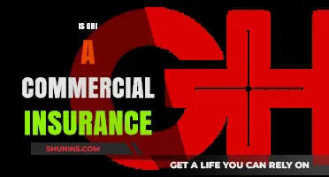 GHI: Understanding Commercial Insurance Options