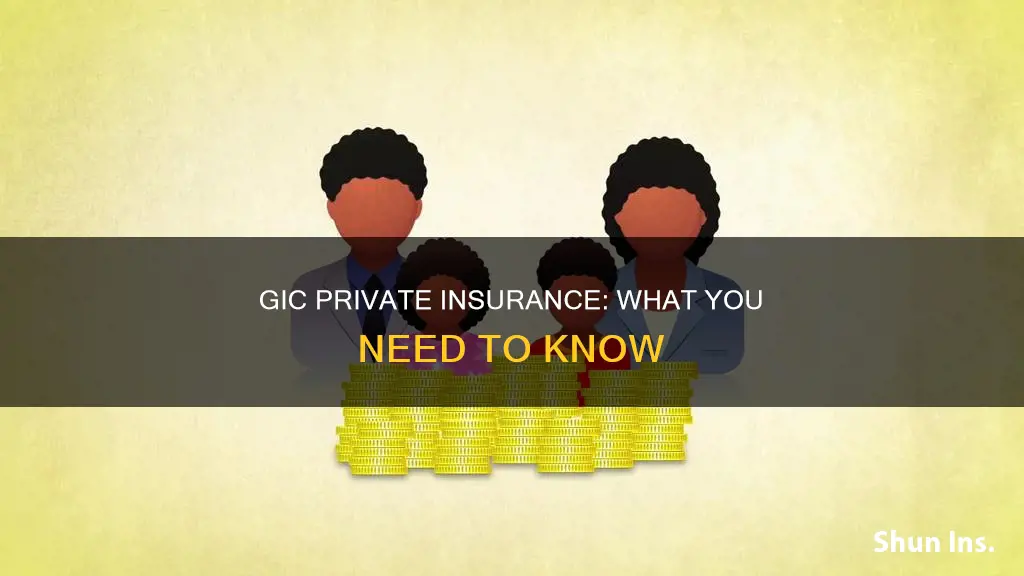 is gic private insurance