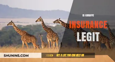 Is Giraffe Insurance Legit? Uncovering the Truth Behind the Coverage