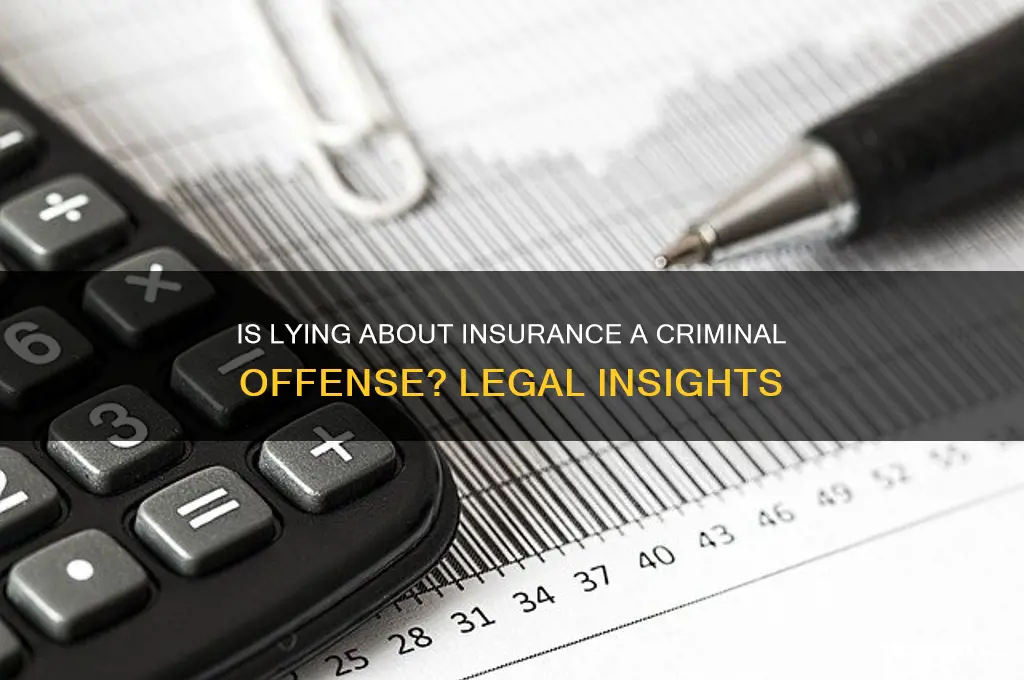 is giving fraudulent insurance information a crime