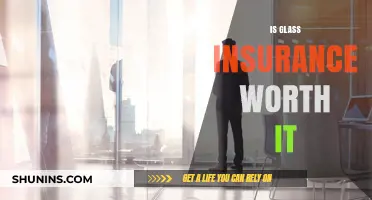 Glass Insurance: Worth the Cost?
