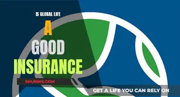 Global Life Insurance: Is It a Smart Choice?