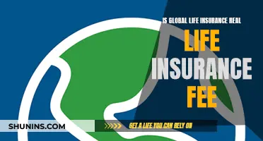 Global Life Insurance: Real Fees, Real Coverage?