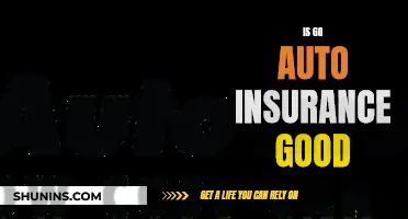 Go Auto Insurance: Good or Not?