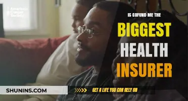 Is GoFundMe the Biggest Health Insurer? A Deep Dive into Crowdfunding Healthcare