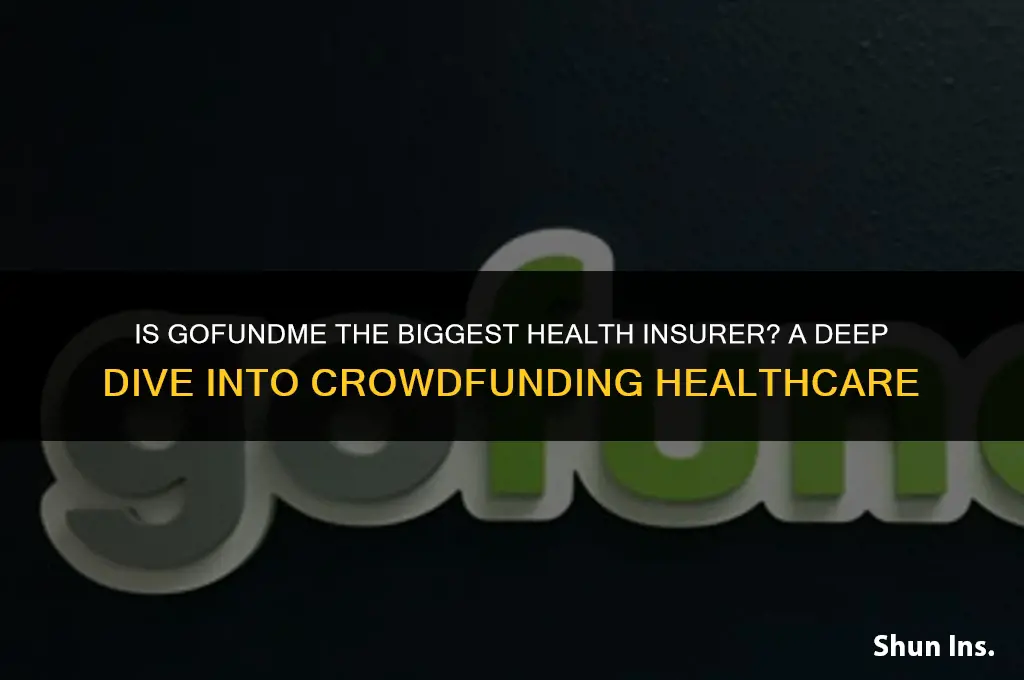is gofund me the biggest health insurer