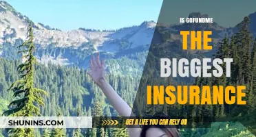 Is GoFundMe the New Biggest Insurance Alternative?