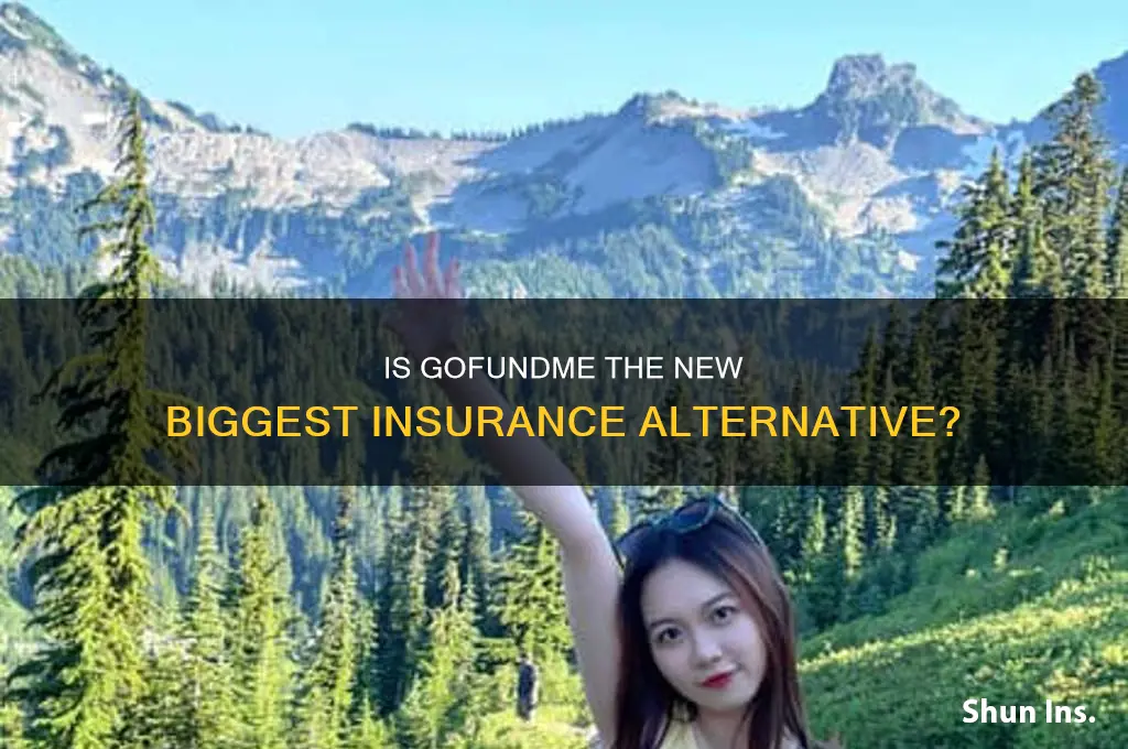 is gofundme the biggest insurance