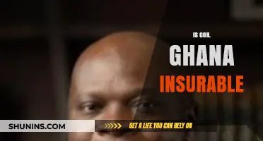 Is GOIL Ghana Insurable? Exploring Coverage Options and Risks