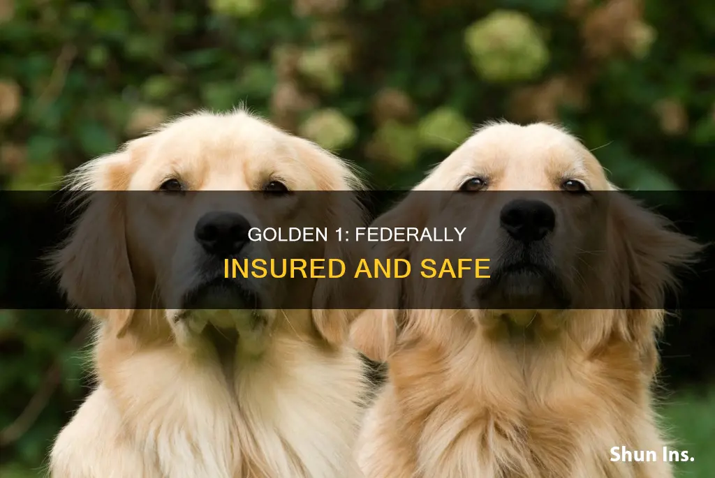 is golden 1 federally insured