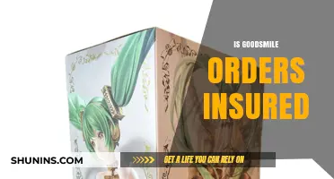 Are Goodsmile Orders Insured? Understanding Shipping Protection for Your Figures