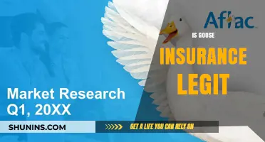 Is Goose Insurance Legit? A Comprehensive Review and Analysis