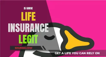 Goose Life Insurance: Legit or a Scam?