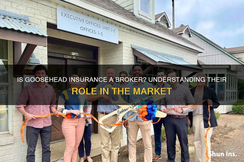 is goosehead insurance a broker