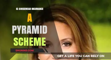 Is Goosehead Insurance a Pyramid Scheme? Uncovering the Truth
