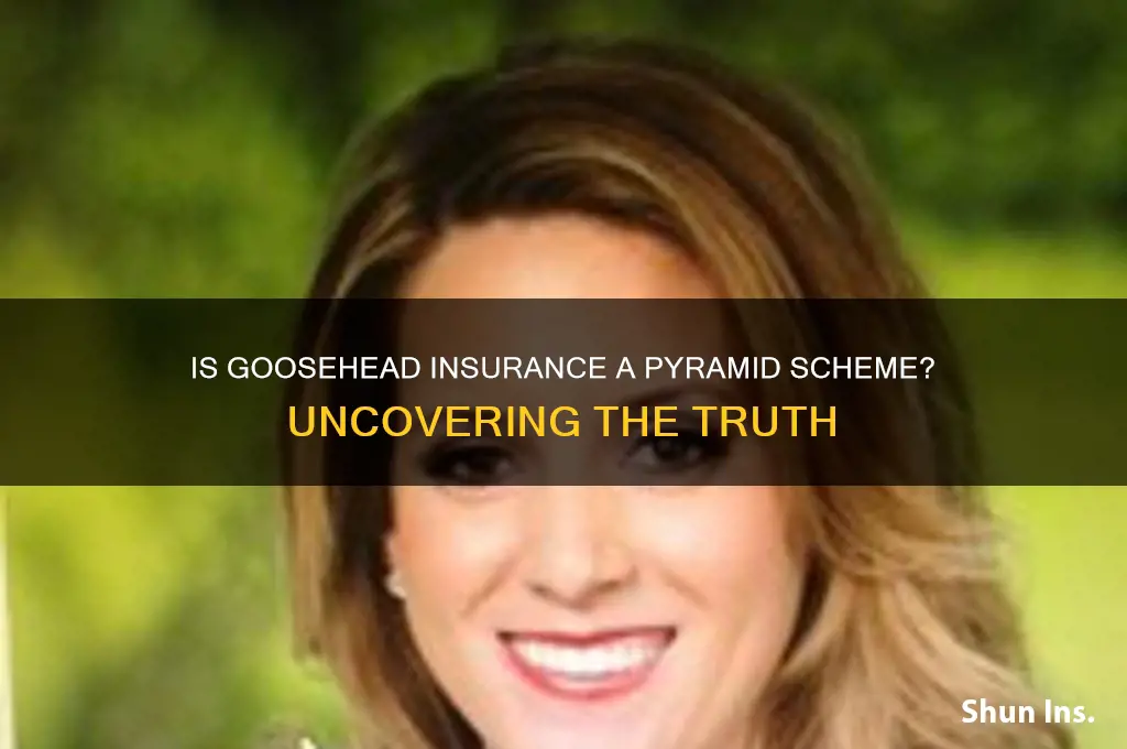 is goosehead insurance a pyramid scheme