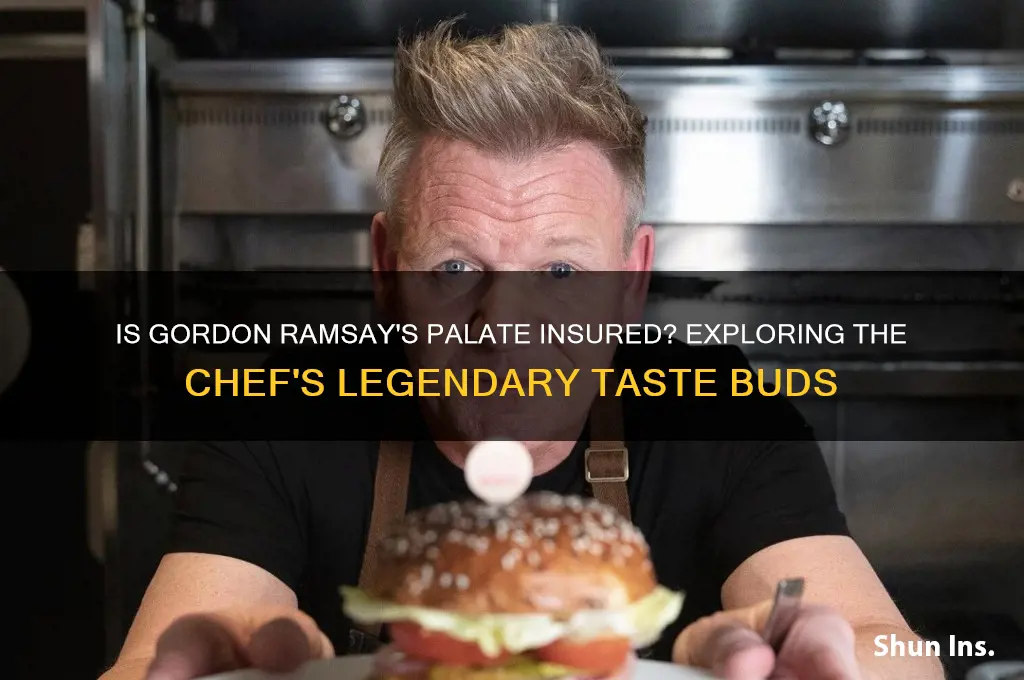 is gordon ramsets palaet insured