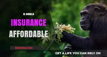 Is Gorilla Insurance Affordable? Exploring Costs and Coverage Options