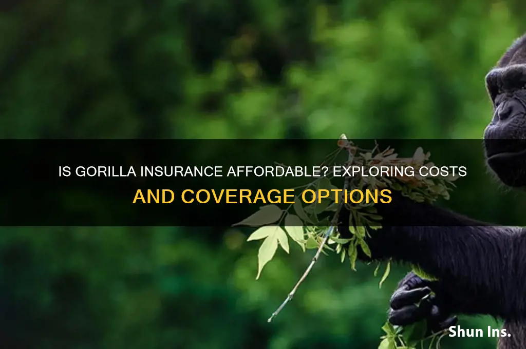 is gorilla insurance affordable
